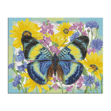 Butterflies Paint By Numbers