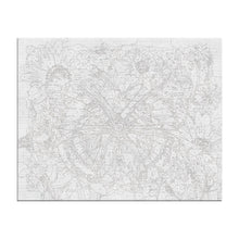 Butterflies Paint By Numbers