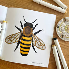 North Carolina Alphabet Coloring Book