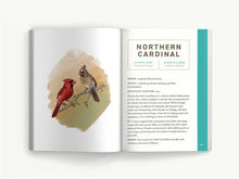 Birds: An Illustrated Field Guide