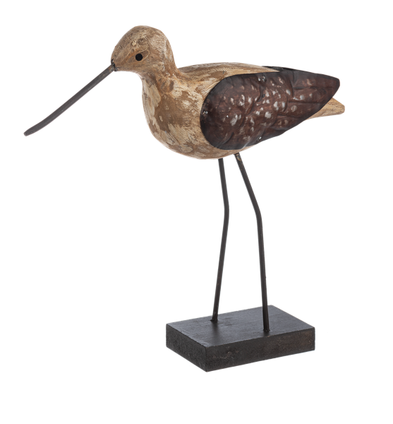 Short Shorebird