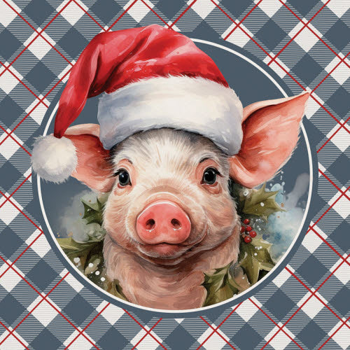Christmas Pig Square House Coaster