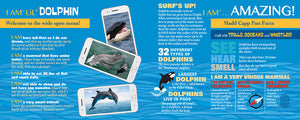 I Am Lil' Dolphin 100