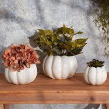 Medium Pumpkin Pot