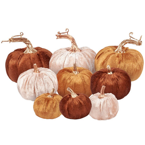 Fall Velvet Pumpkin Set