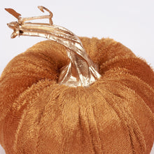 Fall Velvet Pumpkin Set