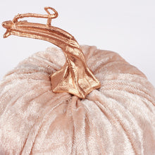 Blush Velvet Pumpkin Set