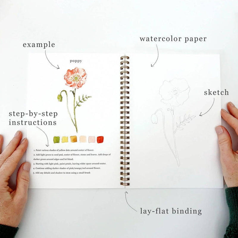 Watercolor Workbook