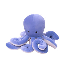 Velveteen Sourpuss Octopus