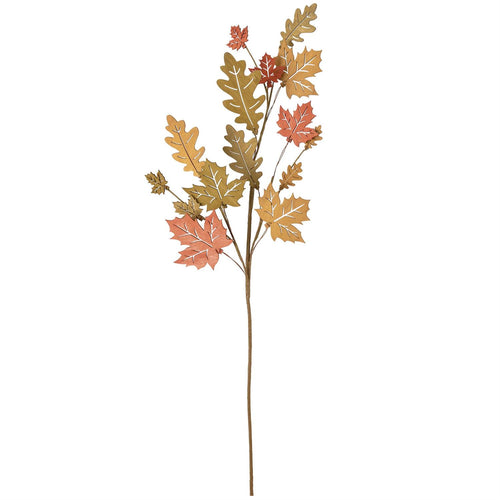 Oak And Maple Pick
