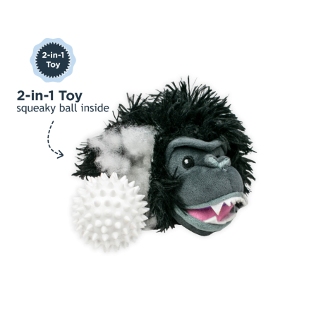Black Bear 2-in-1 Fetch Ball Dog Toy