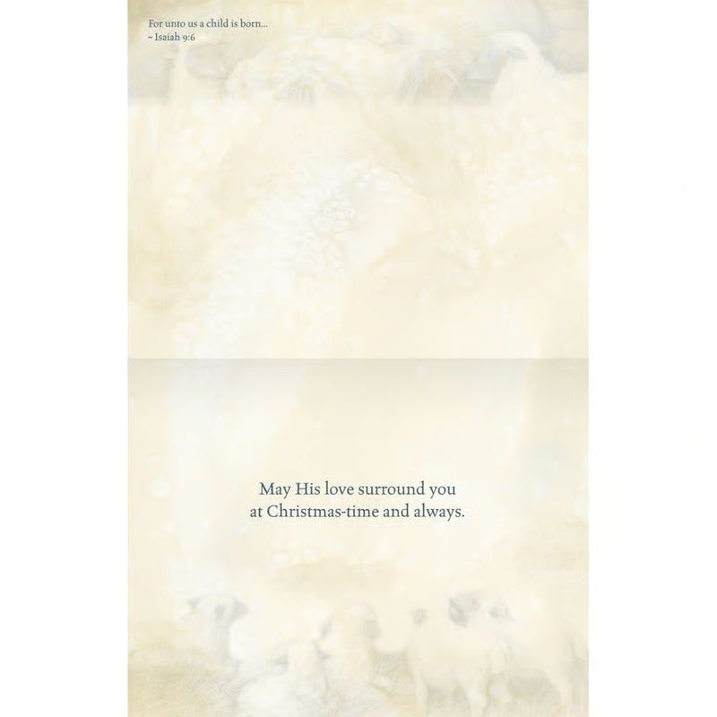 Nativity Assorted Christmas Cards