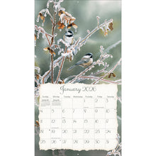 Lang Songbirds 2026 Wall Calendar