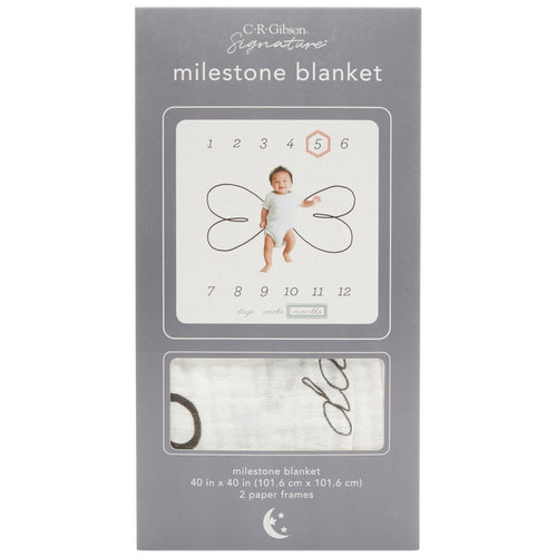 Hello Baby Milestone Blanket & Prop Cards