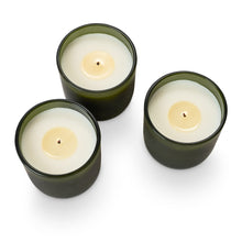 ILLUME Candle Trio/Balsam & Cedar