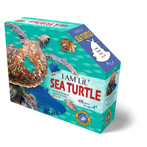 I Am Lil' Sea Turtle 48
