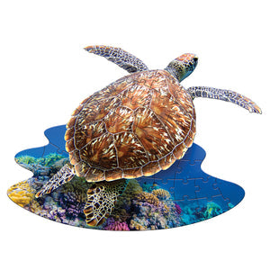 I Am Lil' Sea Turtle 48