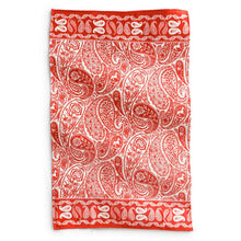 Plush Throw Blanket - Paisley Key