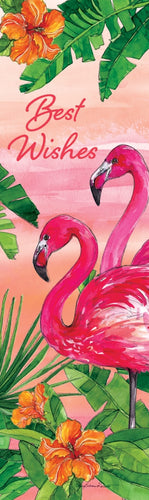 Flamingo Sunset-Plant Expression