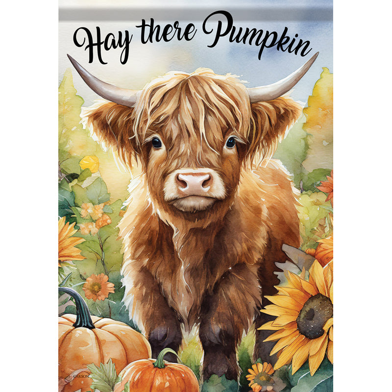 "Hey There Pumpkin" Garden Durasoft™ Flag