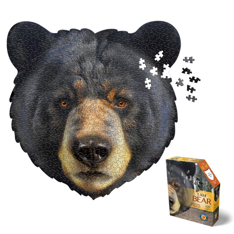I Am Bear 550