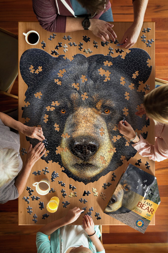 I Am Bear 550