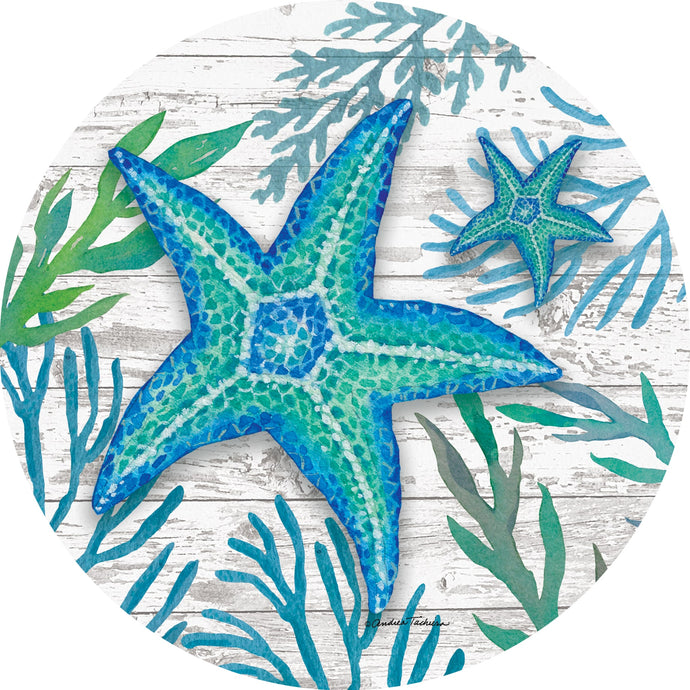 Teal Starfish-Stepping Stone