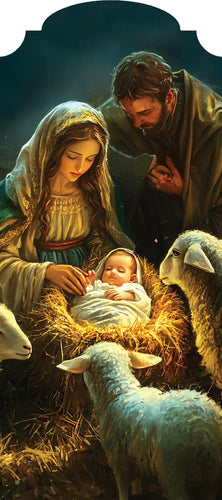 YarDecor-Nativity with Sheep