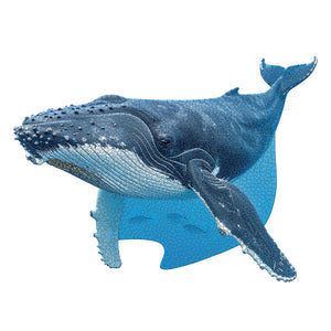I Am Humpback Whale 1000