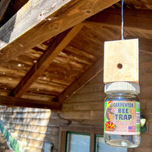 Carpenter Bee Trap
