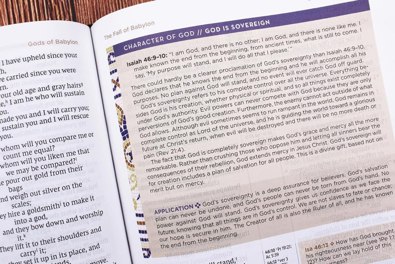 NIV Application Bible, Red Letter, Comfort Print: Bringing the Ancient Message of the Bible into Your World