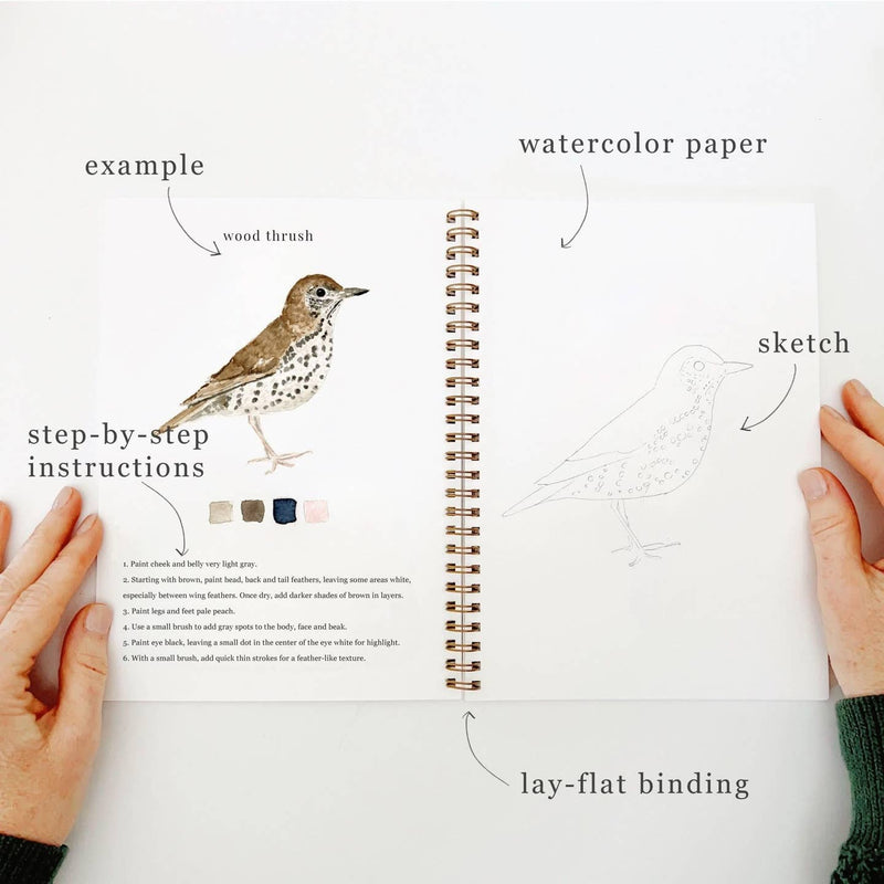 Watercolor Workbook