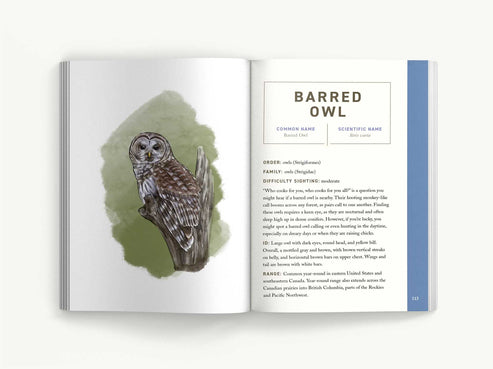 Birds: An Illustrated Field Guide
