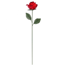 Crystal Expressions Long Stem Rose