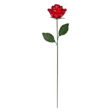 Crystal Expressions Long Stem Rose