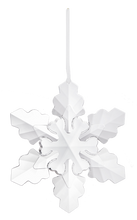 Giant Snowflake