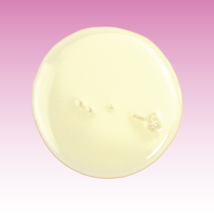 Wildflower Honey Velvety Smooth Bath & Shower Gel 8 oz.