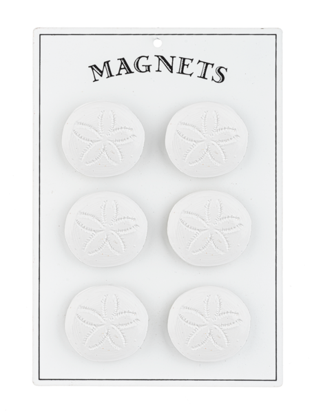 Sand Dollar Magnet