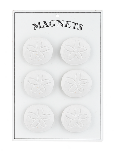 Sand Dollar Magnet