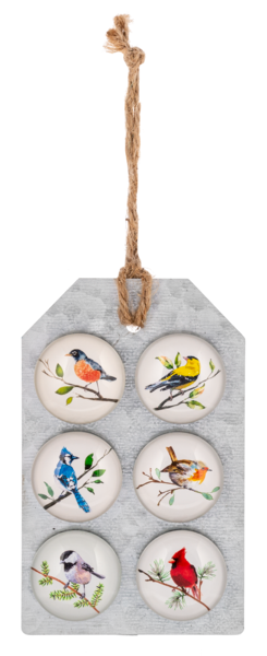 Bird Coaster (4 pc. set)