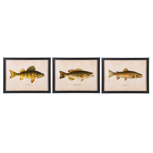 Framed Fish Wall Decor