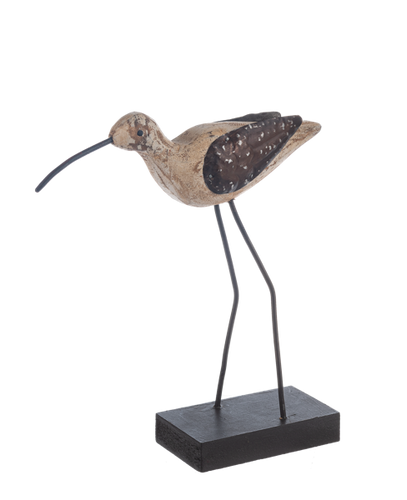 Tall Shorebird