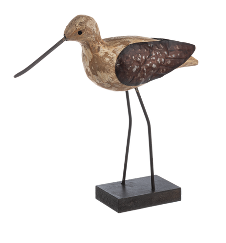 Short Shorebird