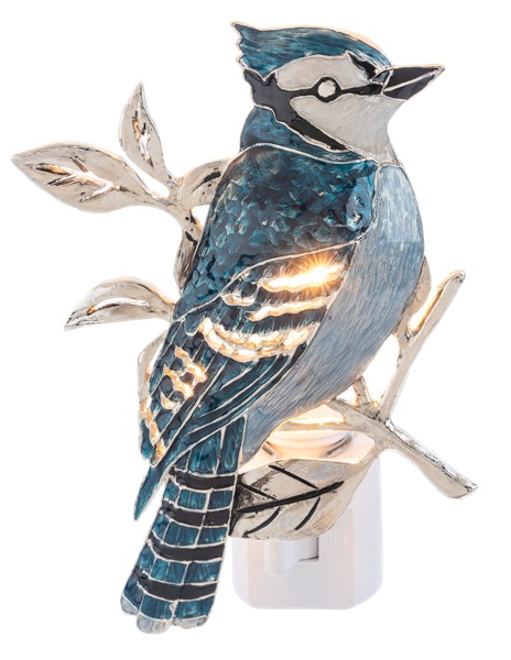 Blue Jay Night Light
