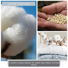 Crisp Cotton - 34 oz Papa Candle