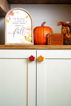 Fall Leaf Knobēz 12 pack