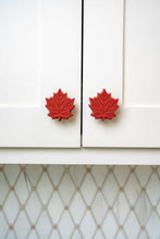 Fall Leaf Knobēz 12 pack