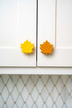 Fall Leaf Knobēz 12 pack