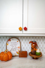 Fall Leaf Knobēz 12 pack