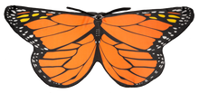 Kid's Monarch Butterfly Costume Cape